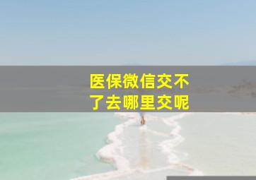 医保微信交不了去哪里交呢