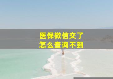 医保微信交了怎么查询不到