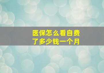 医保怎么看自费了多少钱一个月