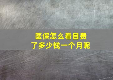 医保怎么看自费了多少钱一个月呢