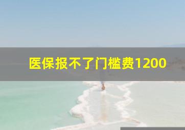 医保报不了门槛费1200