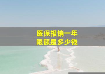 医保报销一年限额是多少钱