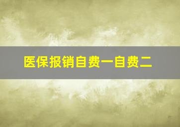 医保报销自费一自费二