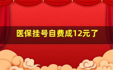 医保挂号自费成12元了