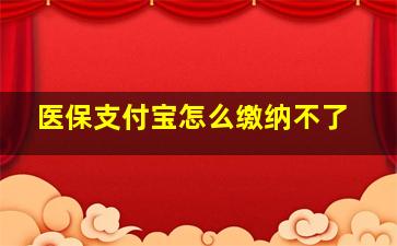 医保支付宝怎么缴纳不了