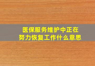 医保服务维护中正在努力恢复工作什么意思