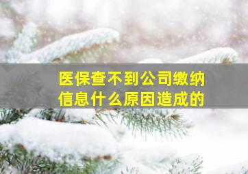 医保查不到公司缴纳信息什么原因造成的