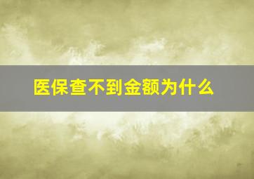 医保查不到金额为什么