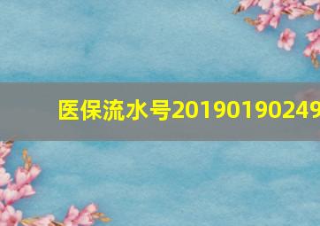 医保流水号20190190249