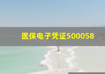 医保电子凭证500058