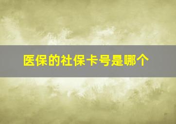 医保的社保卡号是哪个