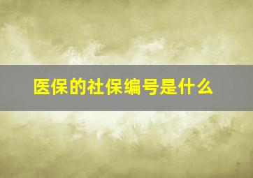 医保的社保编号是什么