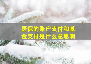 医保的账户支付和基金支付是什么意思啊