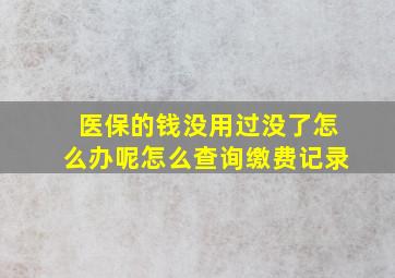 医保的钱没用过没了怎么办呢怎么查询缴费记录