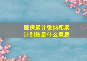 医保累计缴纳和累计划账是什么意思