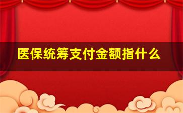 医保统筹支付金额指什么