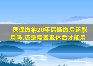 医保缴纳20年后断缴后还能用吗,还是需要退休后才能用