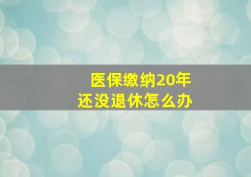 医保缴纳20年还没退休怎么办