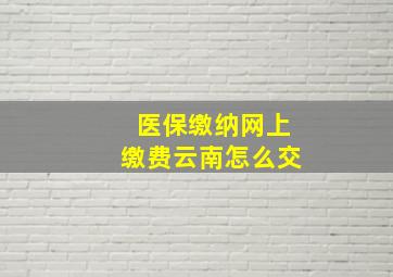 医保缴纳网上缴费云南怎么交