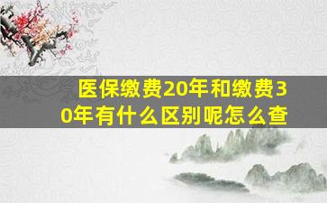 医保缴费20年和缴费30年有什么区别呢怎么查