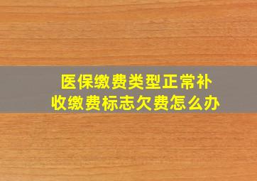 医保缴费类型正常补收缴费标志欠费怎么办