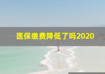 医保缴费降低了吗2020