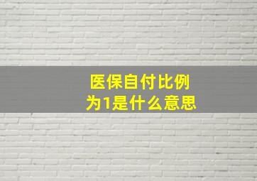 医保自付比例为1是什么意思