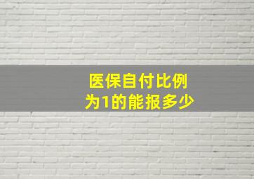 医保自付比例为1的能报多少