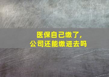 医保自己缴了,公司还能缴进去吗