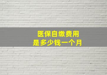 医保自缴费用是多少钱一个月