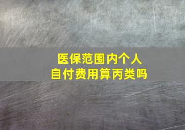 医保范围内个人自付费用算丙类吗