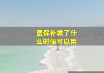 医保补缴了什么时候可以用