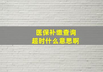 医保补缴查询超时什么意思啊