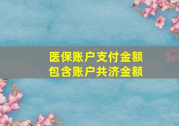 医保账户支付金额包含账户共济金额