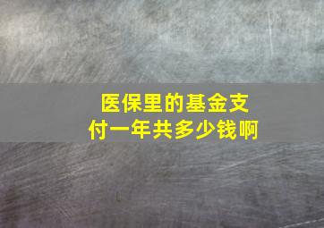 医保里的基金支付一年共多少钱啊