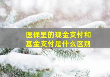 医保里的现金支付和基金支付是什么区别