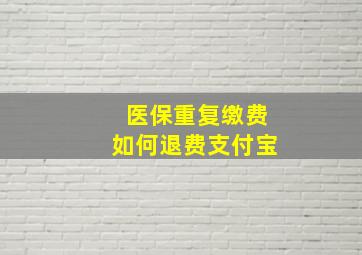 医保重复缴费如何退费支付宝