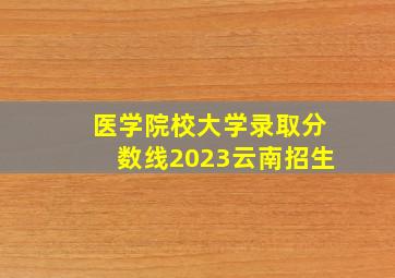 医学院校大学录取分数线2023云南招生