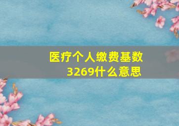 医疗个人缴费基数3269什么意思