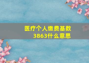 医疗个人缴费基数3863什么意思