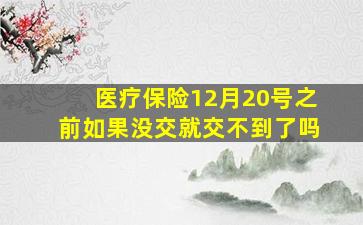 医疗保险12月20号之前如果没交就交不到了吗