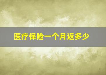 医疗保险一个月返多少