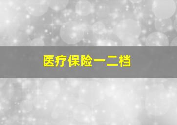 医疗保险一二档