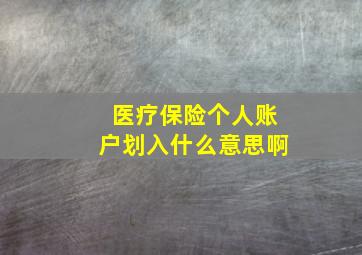 医疗保险个人账户划入什么意思啊