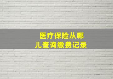 医疗保险从哪儿查询缴费记录