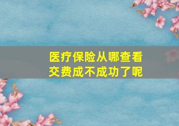 医疗保险从哪查看交费成不成功了呢