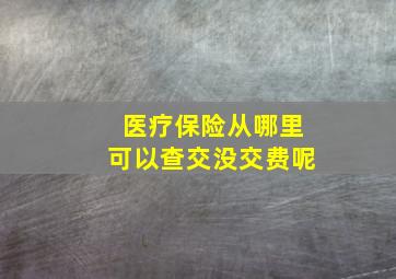 医疗保险从哪里可以查交没交费呢