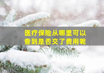 医疗保险从哪里可以查到是否交了费用呢