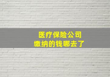 医疗保险公司缴纳的钱哪去了