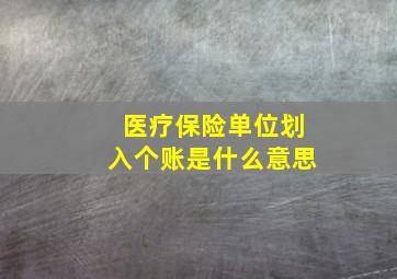 医疗保险单位划入个账是什么意思